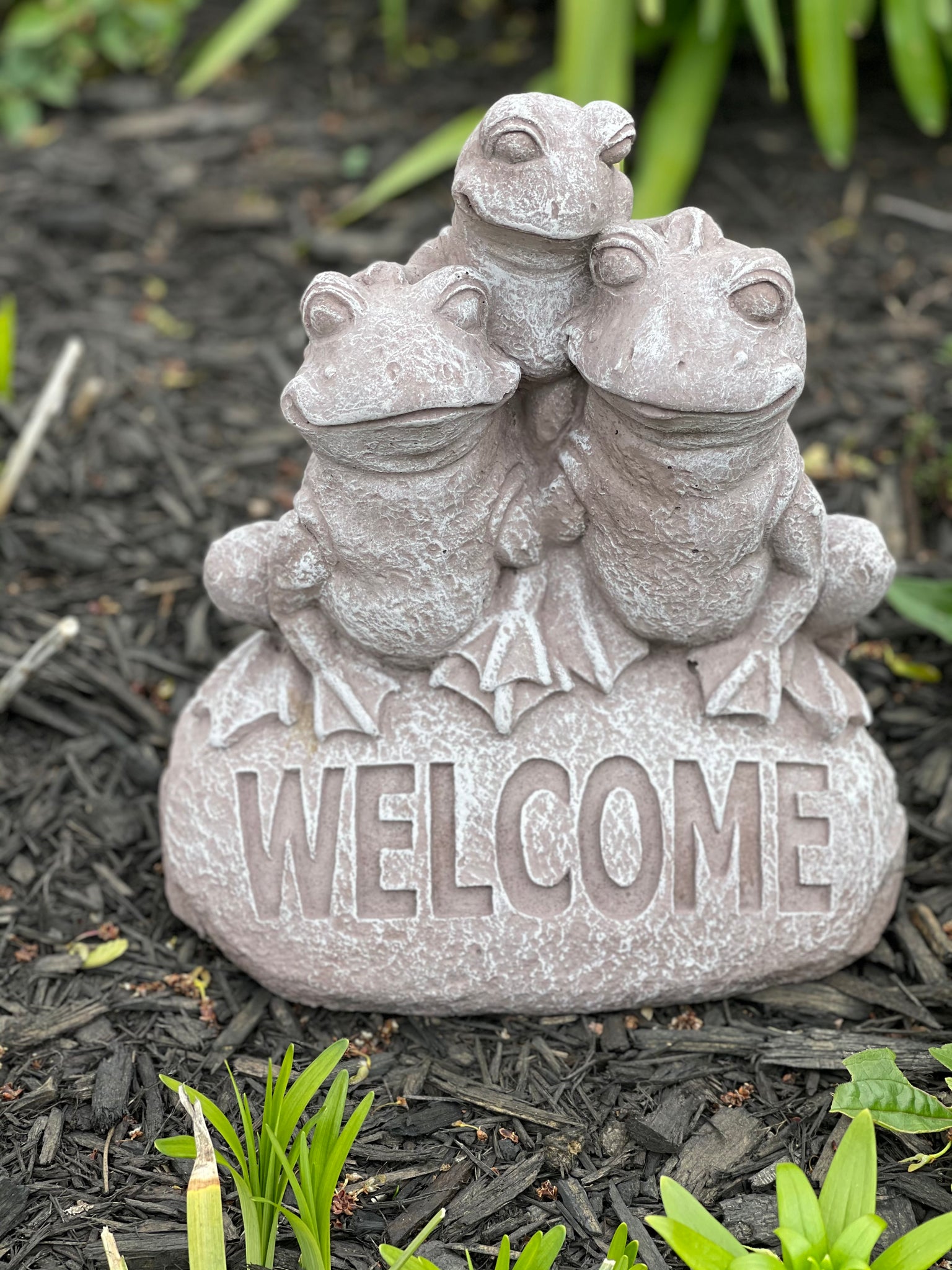 Welcome Frogs